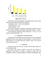 Biznesa plāns 'Комплекс развлечений "Healthy world"', 25.