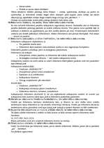 Konspekts 'Lietvedības eksāmens', 4.