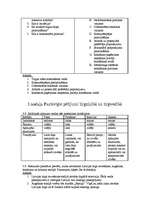 Konspekts 'Tirgzinības', 10.