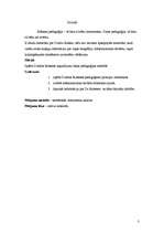 Referāts 'Deju skolotājas Dzidras Rubenes ieguldījums dejas pedagoģijas attīstībā', 3.