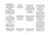 Referāts 'Pneimonija', 14.