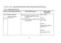 Referāts 'Pneimonija', 26.