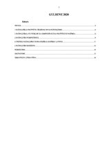 Referāts 'Pašvaldības', 2.