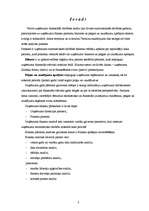 Prakses atskaite 'Finansiālās darbības analīze un prakses uzdevuma izpilde', 3.