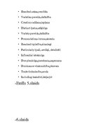 Prezentācija 'English Language', 14.