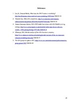 Referāts 'Marketing Analysis of "AXA" Insurance Company', 25.