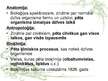 Prezentācija 'Bioloģija', 5.