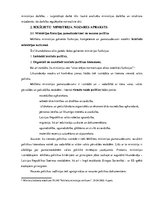 Referāts 'Latvijas Republikas Iekšlietu ministrijas analīze', 5.