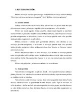 Referāts 'Latvijas Republikas Iekšlietu ministrijas analīze', 12.