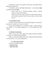 Referāts 'Latvijas Republikas Iekšlietu ministrijas analīze', 13.