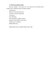 Referāts 'Latvijas Republikas Iekšlietu ministrijas analīze', 15.