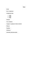 Referāts 'Atvaļinājuma veidi vidusmēra iedzīvotāju vidū', 2.