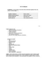 Referāts 'Atvaļinājuma veidi vidusmēra iedzīvotāju vidū', 4.