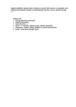 Referāts 'Atvaļinājuma veidi vidusmēra iedzīvotāju vidū', 5.