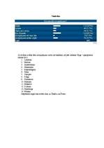 Referāts 'Atvaļinājuma veidi vidusmēra iedzīvotāju vidū', 10.