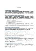 Referāts 'Atvaļinājuma veidi vidusmēra iedzīvotāju vidū', 18.