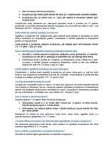 Referāts 'Atvaļinājuma veidi vidusmēra iedzīvotāju vidū', 19.