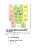 Referāts 'Askorbīnskābes sintēze augos', 10.