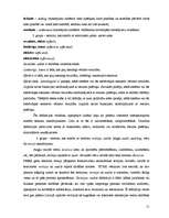 Referāts 'Terminoloģija', 10.