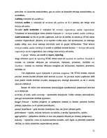 Referāts 'Terminoloģija', 11.