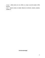 Referāts 'Terminoloģija', 12.