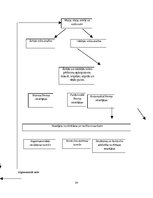 Diplomdarbs 'Tūrisma produkta pārvaldība Jēkabpilī', 24.