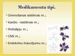 Prezentācija 'Medikamenti', 11.