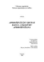 Referāts 'Apdrošināšanas grupas BALTA - ceļojumu apdrošināšana', 1.
