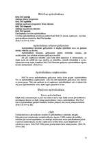 Referāts 'Apdrošināšanas grupas BALTA - ceļojumu apdrošināšana', 10.