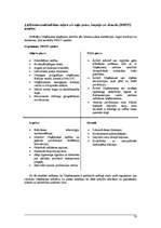 Biznesa plāns 'Izplūdes gāzu attīrīšanas sistēmas izveide SIA "Paroles" ražotnē atbilstoši vide', 10.