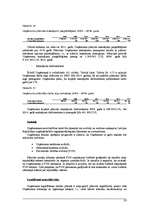 Biznesa plāns 'Izplūdes gāzu attīrīšanas sistēmas izveide SIA "Paroles" ražotnē atbilstoši vide', 23.