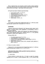 Biznesa plāns 'Izplūdes gāzu attīrīšanas sistēmas izveide SIA "Paroles" ražotnē atbilstoši vide', 25.