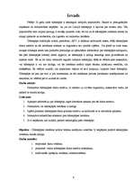 Referāts 'Ūdenspīpes dūms un ogles alternatīva', 5.