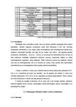 Referāts 'Ūdenspīpes dūms un ogles alternatīva', 13.