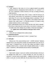 Referāts 'Ūdenspīpes dūms un ogles alternatīva', 15.