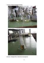 Referāts 'Ūdenspīpes dūms un ogles alternatīva', 30.