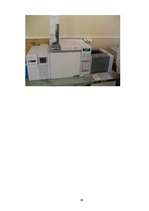 Referāts 'Ūdenspīpes dūms un ogles alternatīva', 38.