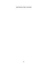 Diplomdarbs 'Civilprocesa nodrošinājums', 61.