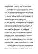 Referāts 'Restorāna izveide', 3.