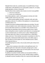 Referāts 'Restorāna izveide', 30.