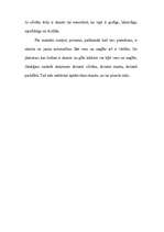 Eseja 'Skaistais un neglītais manā dzīvē', 3.