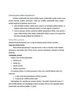 Referāts 'Fizioterapeitu ētika', 14.