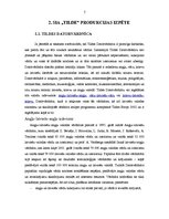 Referāts 'IT tehnoloģijas. SIA "Tilde"', 6.