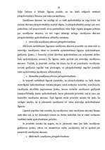 Referāts 'Pārapdrošināšana', 24.