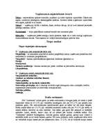 Biznesa plāns 'SIA "Galdnieks"', 3.