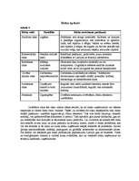 Biznesa plāns 'SIA "Galdnieks"', 6.