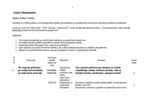 Prakses atskaite 'No psihoaktīvām vielām atkarīgo pilngadīgo personu sociālās rehabilitācijas prog', 33.