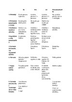 Konspekts 'Komercdarbības formas', 1.