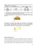 Referāts 'Cieto vielu mitruma mērījumi', 10.