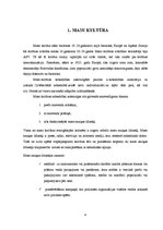 Referāts 'Masu kultūras', 4.